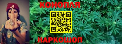 сатива Северобайкальск