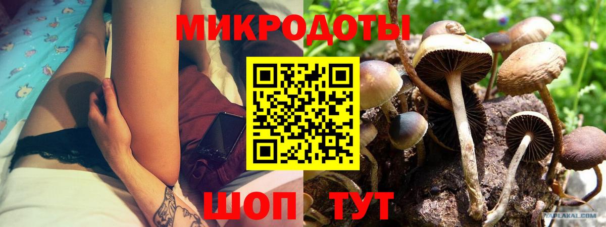 Наро-Фоминск  Псилоцибиновые грибы GOLDEN TEACHER  закладка  Вход с VPN 